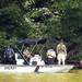 Washtenaw County Sheriff's Office investigators and divers prepare to recover the male body. Melanie Maxwell | AnnArbor.com 
